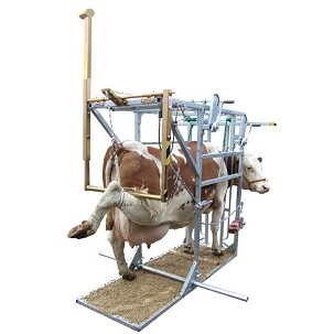 Boks za obradu papaka za krave  model SA0026