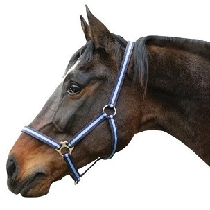 Ular za konje Hippo 1 pony svetlo plavi