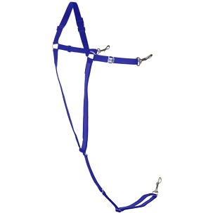 Mali am Y plavi Finntack