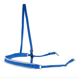 Mali am plavo-zlato-beli Finntack