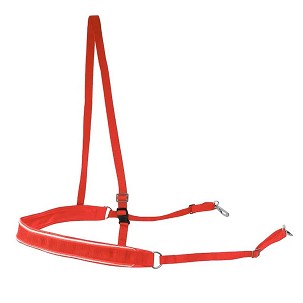 Mali am crveno-crveno-beli Finntack