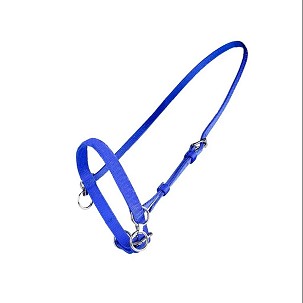 Mali ular za glavu sa karikom plavi Cob Finntack