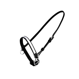 Mali ular za glavu sa karikom crno-beli Cob Finntack