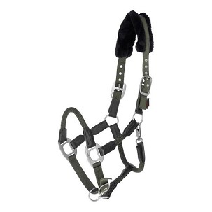 Ular za konje maslinasto zeleni Cordano 3 full