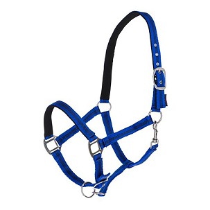 Ular za konje plavo-crno 2 Cob Mustang