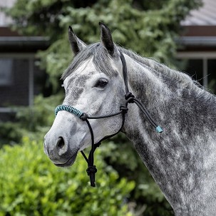 Ular za konje crno-tirkiz  pleteni 0 pony