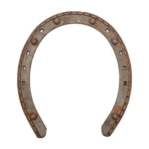 Potkovice za konje 15x4 sa 6 vidija 4mm gold 1 prednja