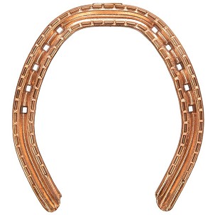 Potkovice za konje sa vidijama gold 16x6 1 zadnje