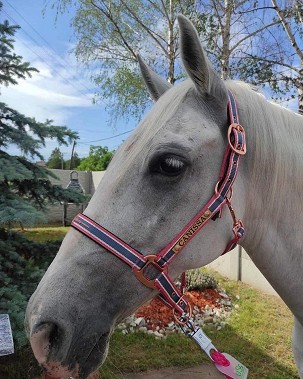 Pločica za ular sa željenim imenom