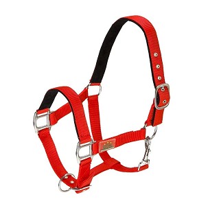 Ular za konje USG 2 Cob crveni