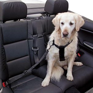 Pojas za pse za autosedište 70-90 cm