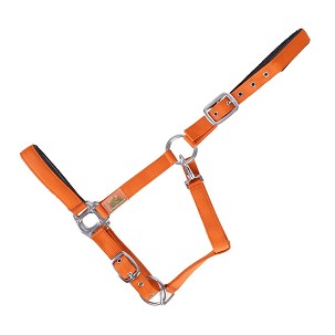 Ular za konje Everyday narandžasti 2 cob