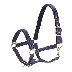 Kötőfék lovaknak sötétkék 3 full Dexter