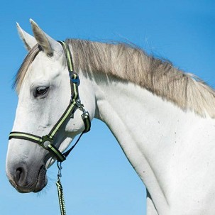 Ular za konje Hippo crno-zeleno 1 Pony