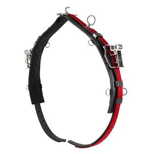 Veliki am Pro QH crveni Finntack