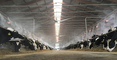 Klimatizacija štala